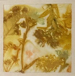 Wildflowers No.2