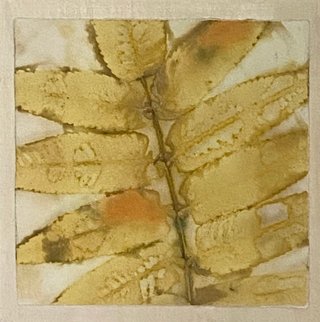 Sumac Leaves No.4