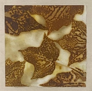 Maple Leaves