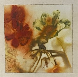 Vegetable Garden No.4