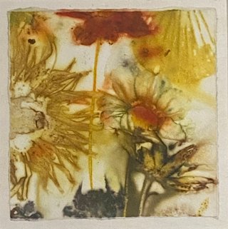 Vegetable Garden No.5