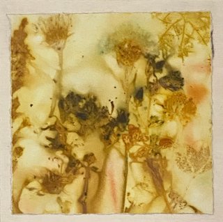 Wildflowers No.1