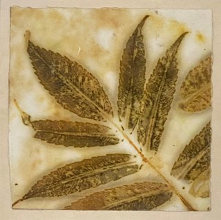 Sumac Leaves No.3