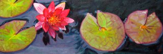 Waterlily Series: Red Waterlily