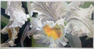 Orchid Series: Cattaleya Orchid