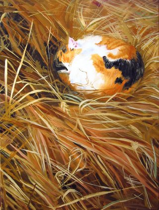 Cat Series: Nestled