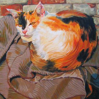 Cat Series: The Look