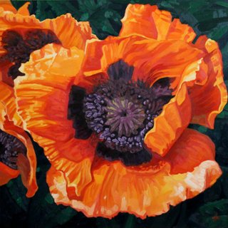Poppy Series: Vermillion Ablaze