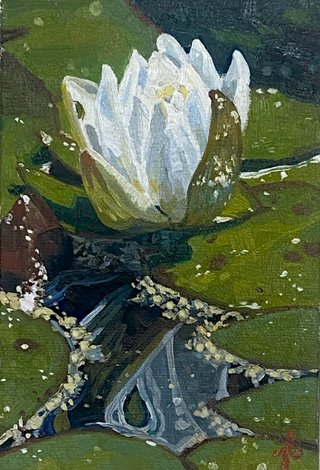 Waterlily Series: Seeing Double