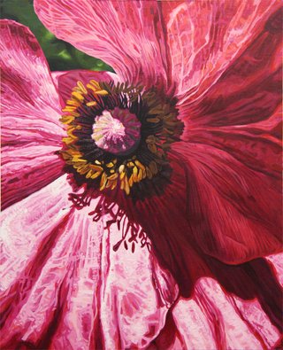 Poppy Series: Purple Poppy