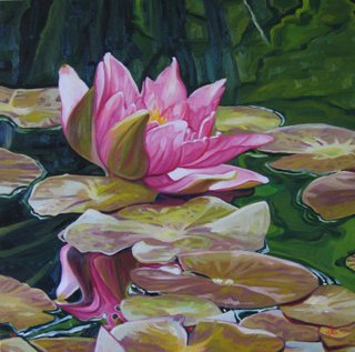 Waterlily Series: Pink Waterlily