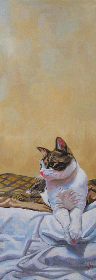 Cat Series: Resting...for now