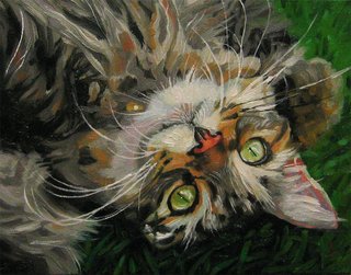 Cat Series: Alligator Eyes