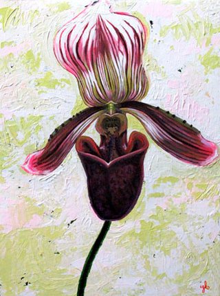 Orchid Series: Lady Slipper