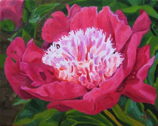 Botanical Series: Pink Ruffles