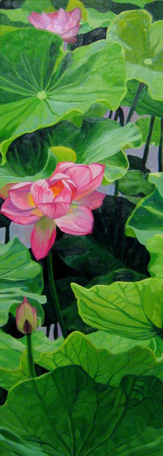 Waterlily Series: Surfacing