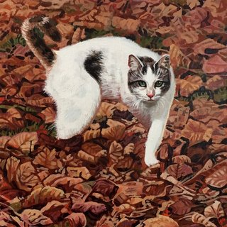 Chat d'autumne